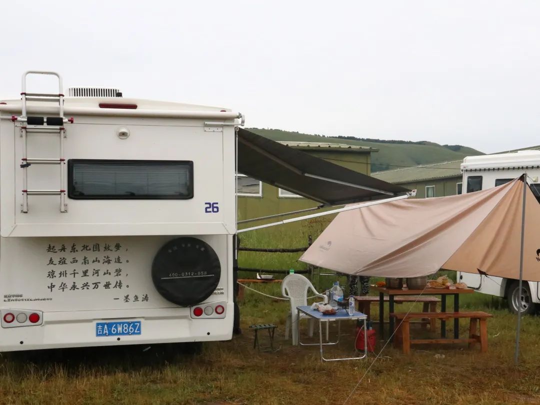 來福,以精致矗立在野性之中 來福,以精致矗立在野性之中